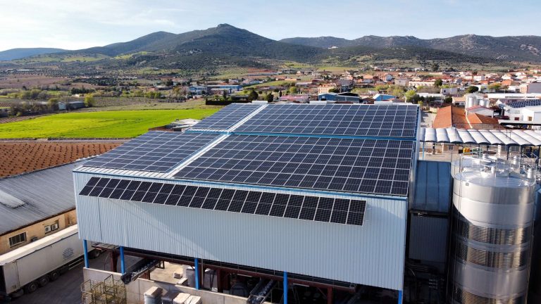La nueva línea decanter aumenta la eficiencia en la extracción del AOVE de El Progreso