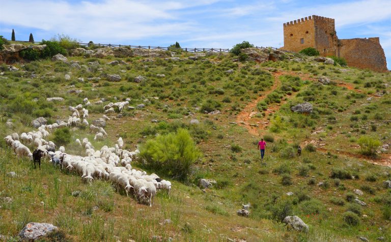 Montalvo Wilmot, tradición familiar centenaria y máximo respeto a la tierra