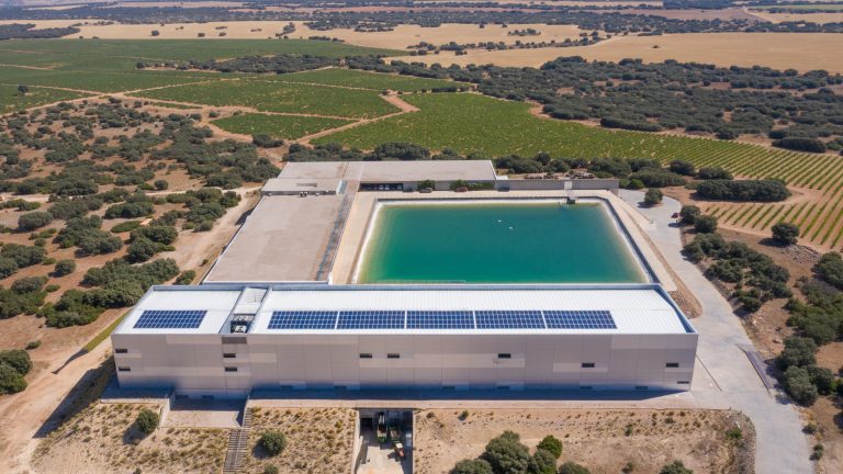 Todos los vinos de la bodega Finca Antigua de la añada 2020 serán ecológicos