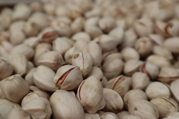 Castilla La Mancha lidera la producción de pistacho en España con el 80% del total nacional