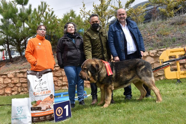Castilla-La Mancha rechaza de plano el proyecto de Ley de Bienestar Animal