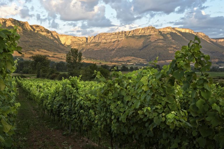 La Ruta del Txakoli se une a Rutas del Vino de España