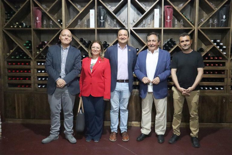 La Junta dará cien euros por hectárea al viñedo de secano a partir de 2023