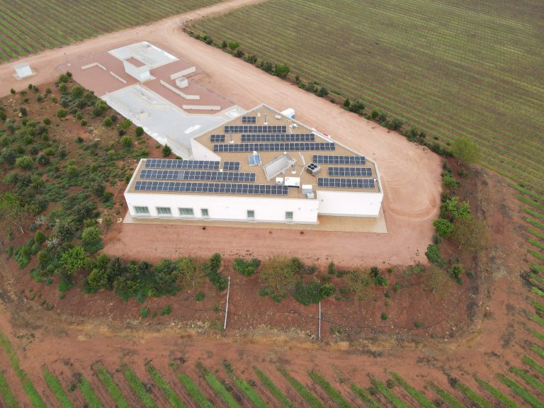 Bodegas Carrascas instala placas solares para garantizar la sostenibilidad             