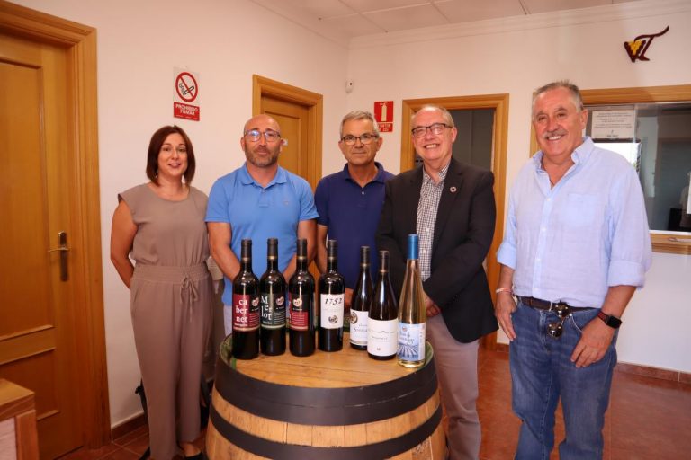 El Tanino recibe una subvención de 85.000 euros para seguir produciendo vinos de calidad