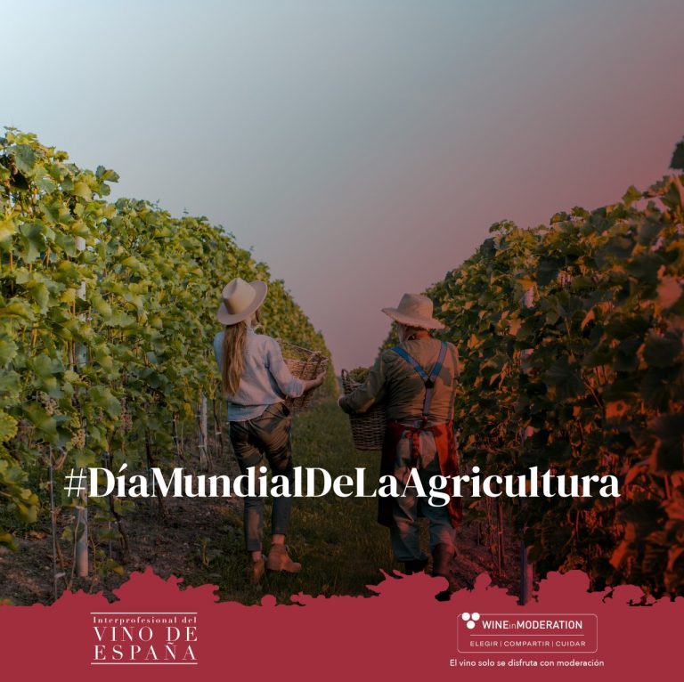 La viticultura genera más de medio millón de empleos y 2.150 millones de euros al año
