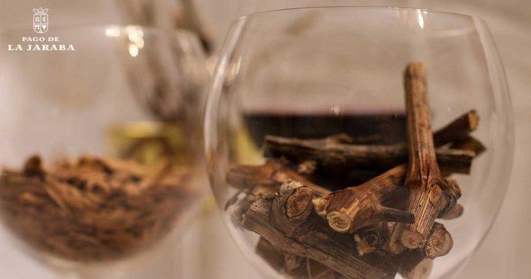Los efectos positivos de la utilización de sarmientos en la vinificación