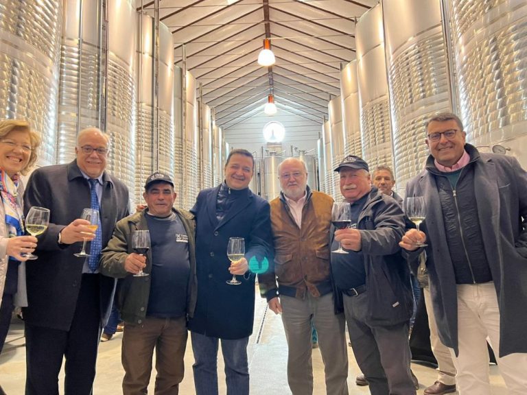 El consejero de Agricultura se opone a la destilación de vino en España para que no baje el precio