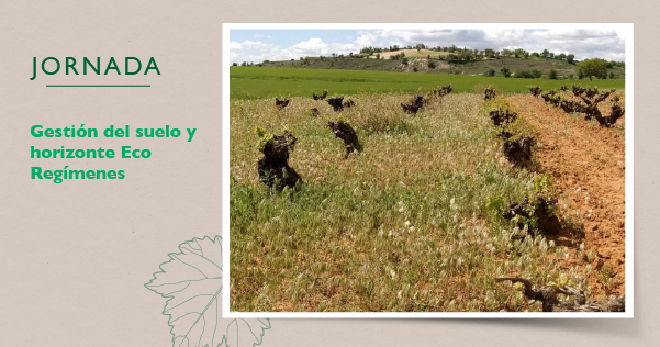 La DO Manchuela participa en una jornada sobre la importancia del suelo y las cubiertas en el viñedo