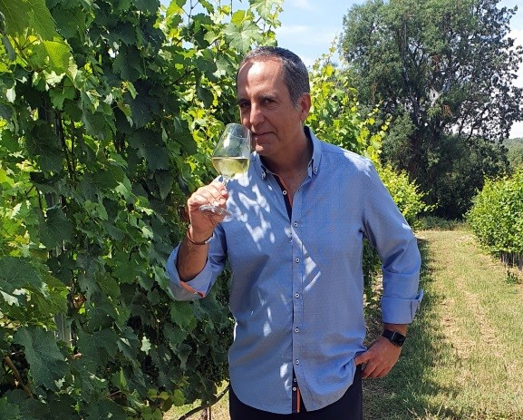 Bodegas Pirineos pone en el mercado su gama de vinos jóvenes de la cosecha 2022