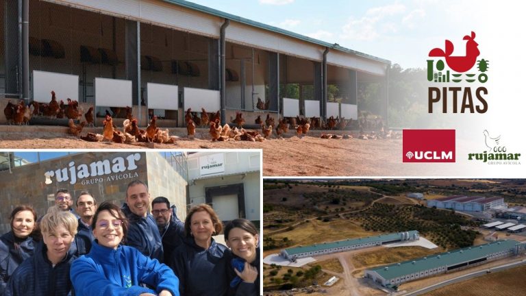 El proyecto PITAS promueve la avicultura sostenible y la mejora del bienestar de las gallinas