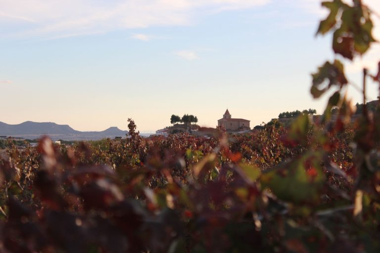 Tintoralba lanza una nueva gama de vinos con más fruta, menos madera y mayor longevidad