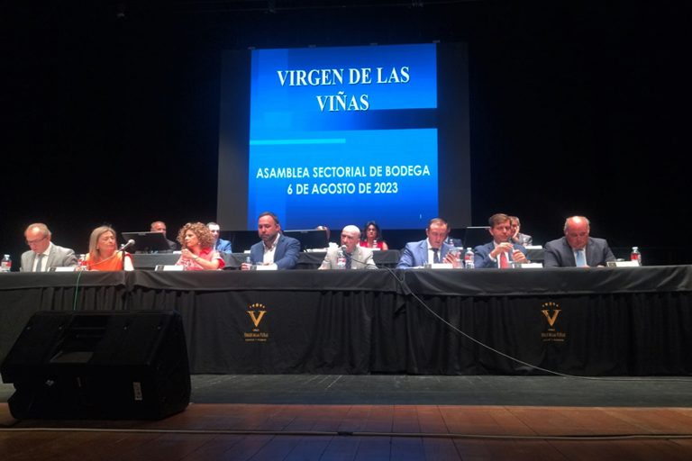 El Ayuntamiento Tomelloso facilitará la expansión de Virgen de las Viñas