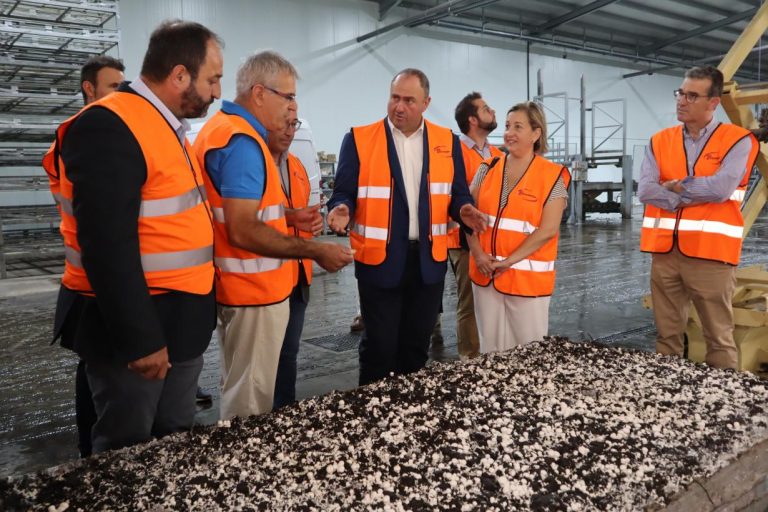 Castilla-La Mancha creará la figura de calidad de champiñones y setas “Hongos de La Manchuela”