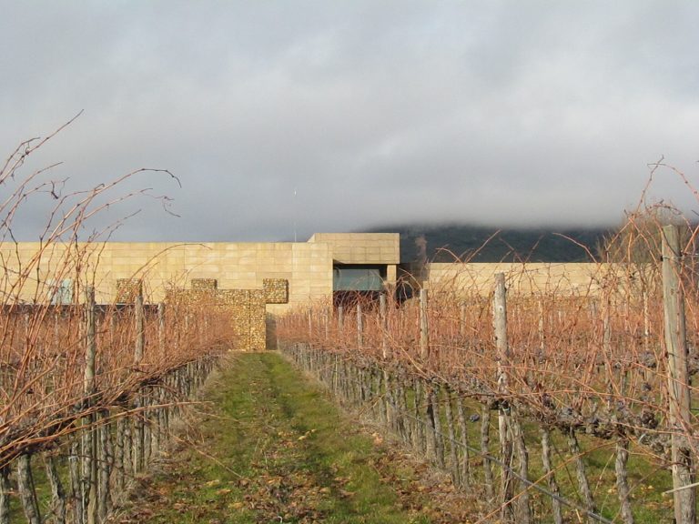 Pago de Vallegarcía celebra el cuarto de siglo de la plantación de sus primeros viñedos