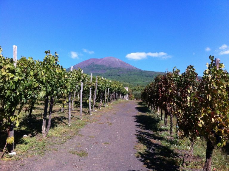 Una empresa ciudadrealeña pone en marcha un concurso internacional de vinos volcánicos