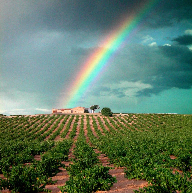 Encuesta los vinos más vendidos en primavera en Castilla-La Castilla de la revista Alimentos