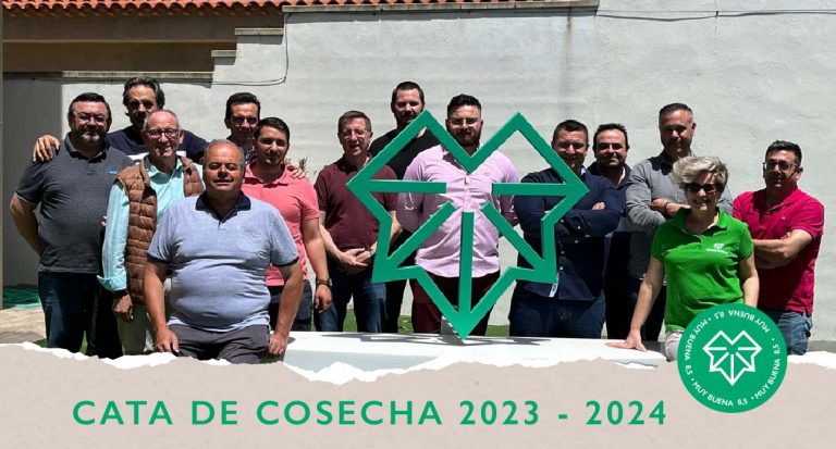 La cosecha 2023/24 de La Manchuela consigue la calificación de “muy buena”