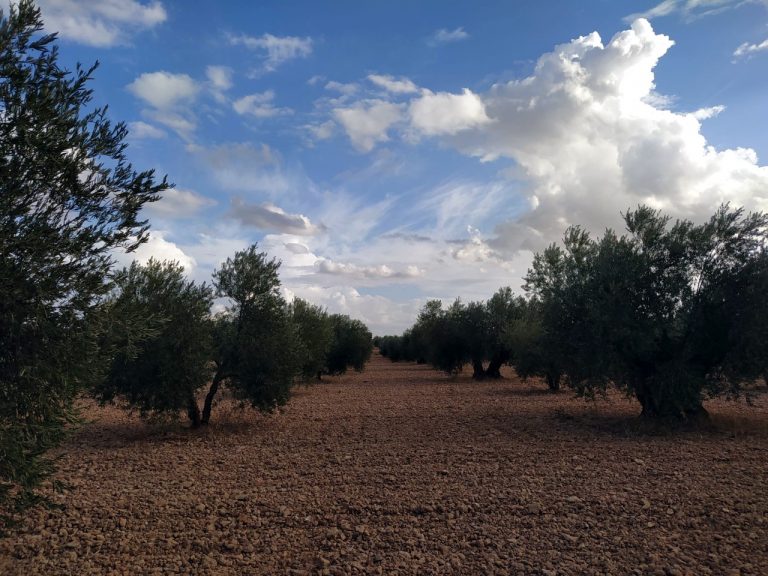 Asaja denuncia que se intensifica la oleada de robos en La Mancha y Campo de Calatrava