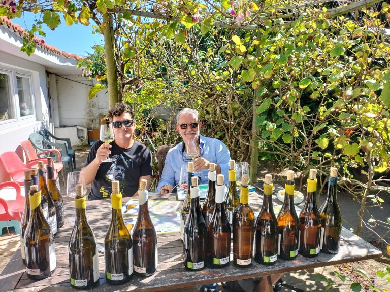 El Premio al Vino Revelación de la Guía Peñín 2024 para un vino de Bodegas El Paraguas