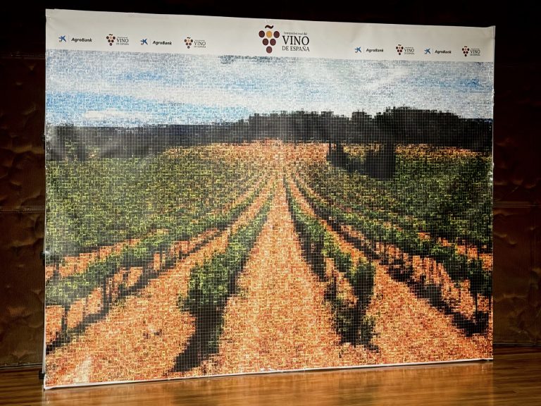 Cerca de 400 personas crean con sus fotos el gran viñedo de España