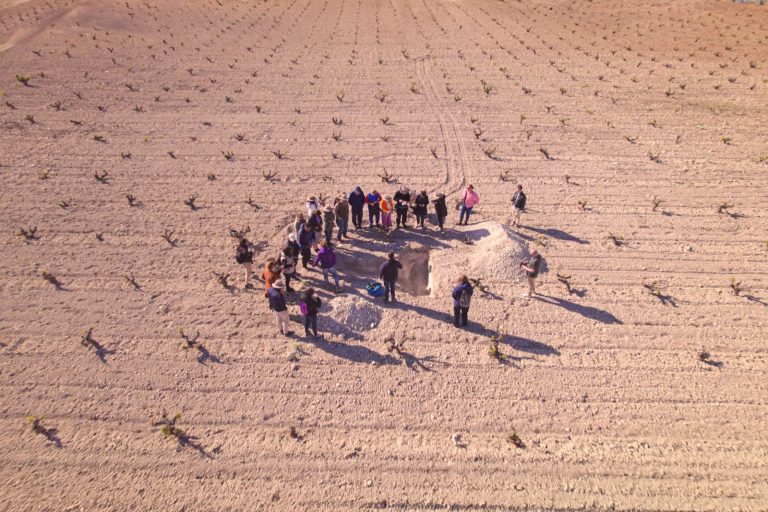 La DOP Jumilla lanza un documental sobre la importancia del suelo de sus viñedos