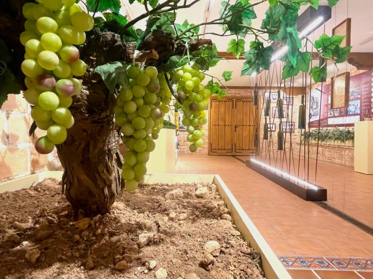 Bodegas Símbolo inaugura su nuevo museo permanente en la sala de barricas