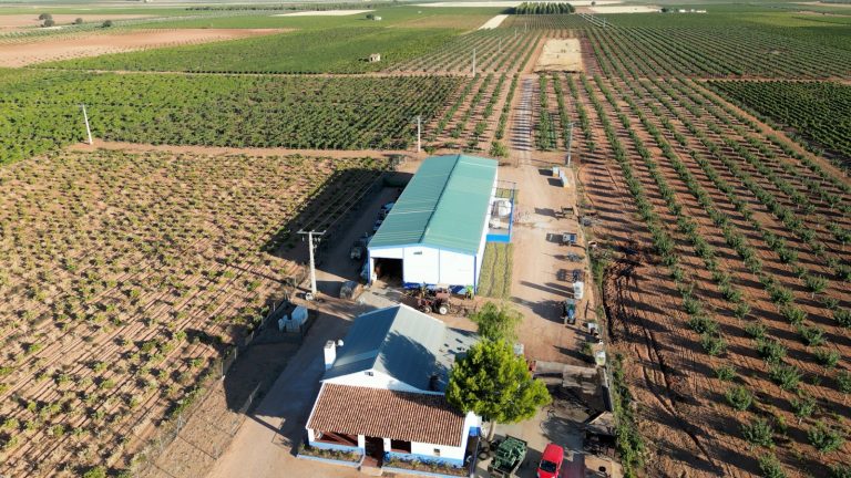 Bodega Inn Wine: la excelencia de los vinos elaborados con la variedad airén