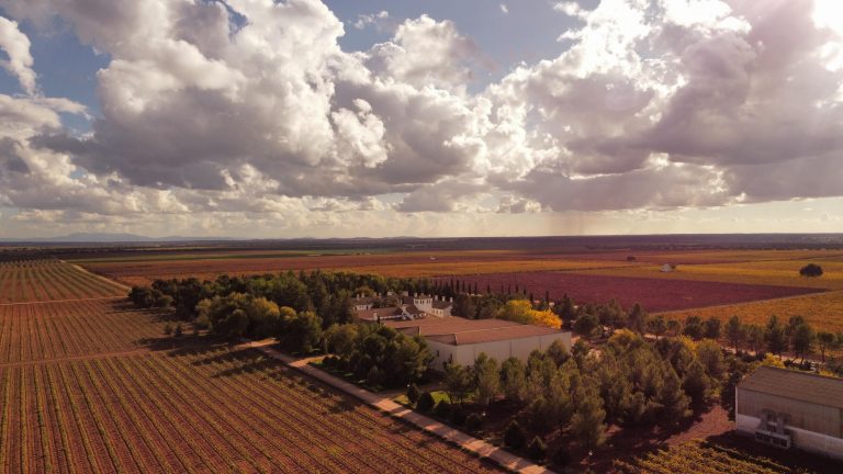“Piedra a Piedra” y “Ousía” las dos nuevas gamas de vinos de la DOP Pago Guijoso