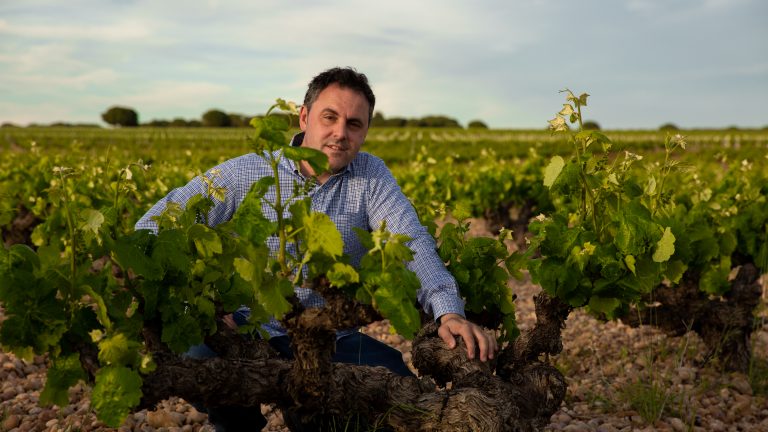 Gran Vino, el proyecto vitícola de Aurelio García y Micaela Rubio en Cuenca, Ávila y Soria