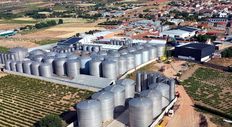 El Progreso comenzó la vendimia la madrugada del lunes 11 al 12 de agosto