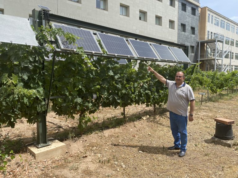 La Escuela de Ingenieros Agrónomos de Ciudad Real añadirá a su nombre el grado de Enología este mismo año