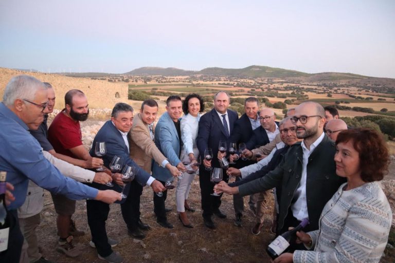 Bodegas Tintoralba presenta su vino de garnacha tintorera “La Alquería 2022” en el yacimiento que le da nombre