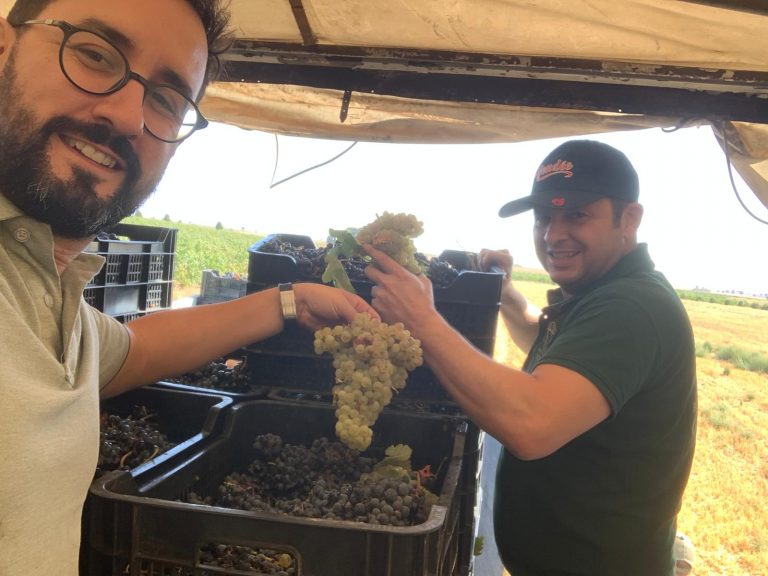 Viñedos Monumentales, una de las jóvenes bodegas que dan brillo a los vinos de Castilla-La Mancha