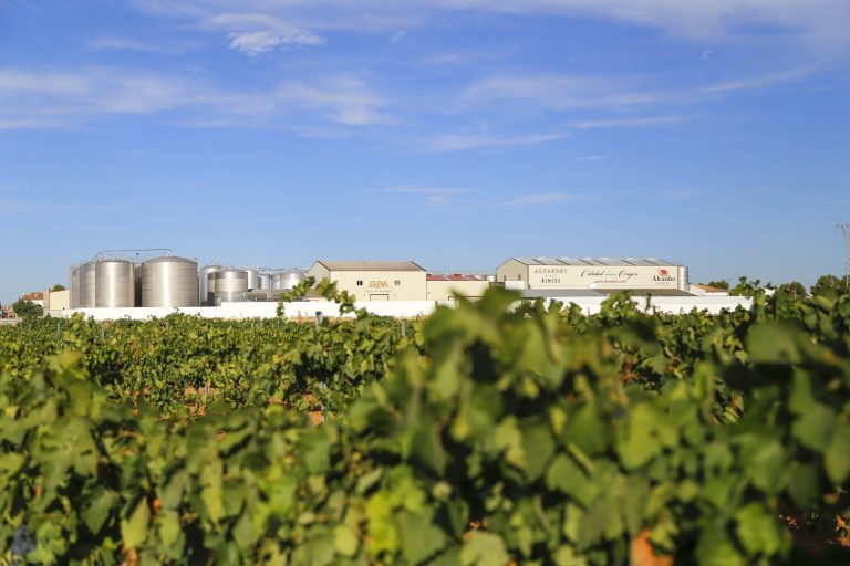 Bodegas Alcardet cierra ejercicio con 21 millones de euros de facturación y consolida su crecimiento sostenido