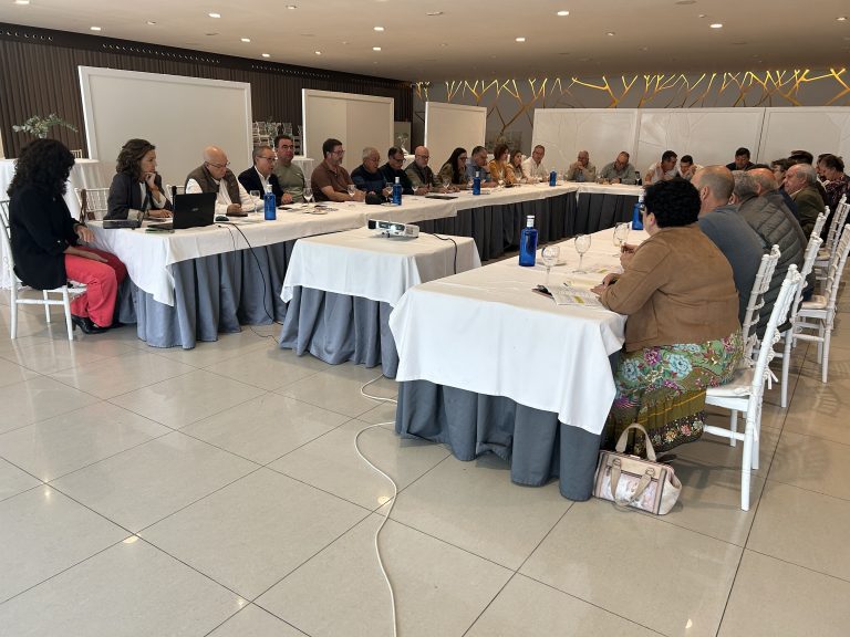 Cooperativas Agro-alimentarias CLM prevé una cosecha de 120.000 toneladas de aceite de oliva