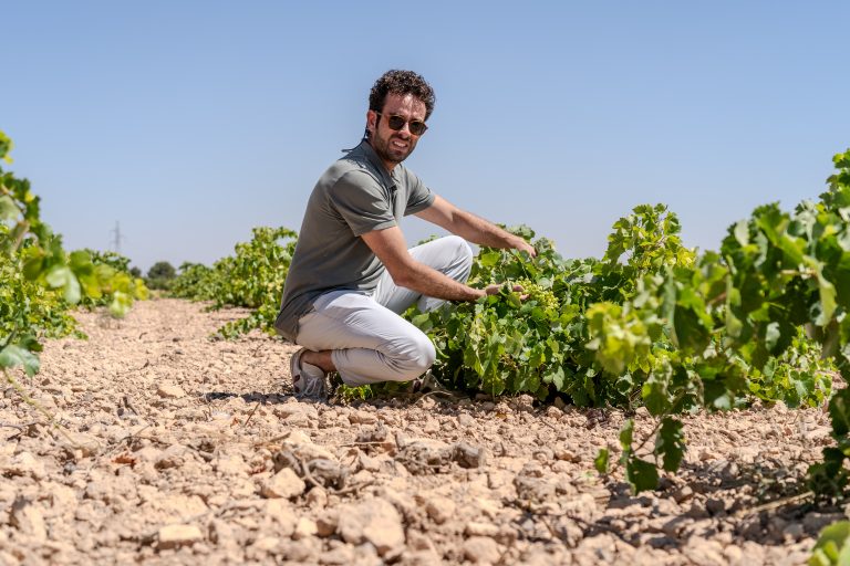 Las Marianas Airén 2023, elegido mejor vino de la variedad airén de España por la Guía de Vinos SeVi