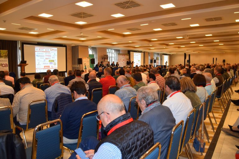 Los gigantes del aceite y vino trazan la estrategia regional en la V edición de DICA 2025