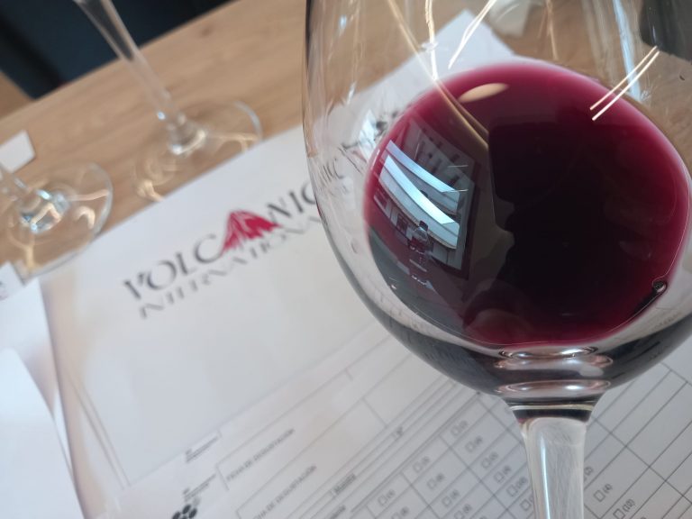 Los vinos de la DO Campo de Calatrava obtienen 7 medallas en el Concurso Internacional de Vinos Volcánicos