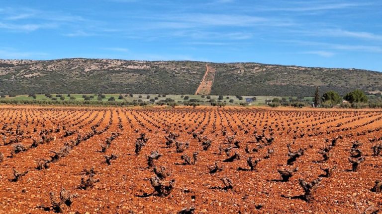 Bocacaballo, el nuevo proyecto vitivinícola que consolida el auge de los nuevos Valdepeñas