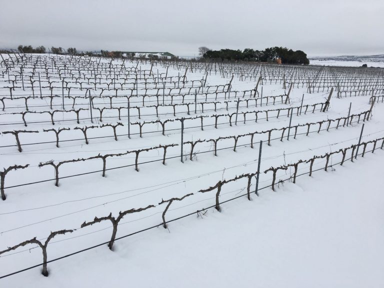 Enoturismo y Navidad en Castilla-La Mancha