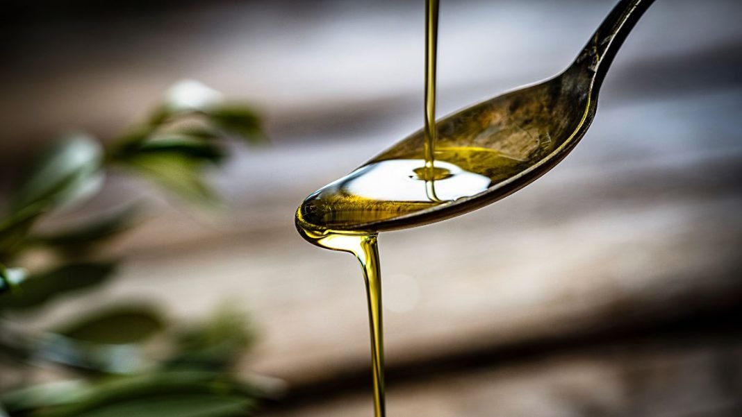 fraude aceite de oliva