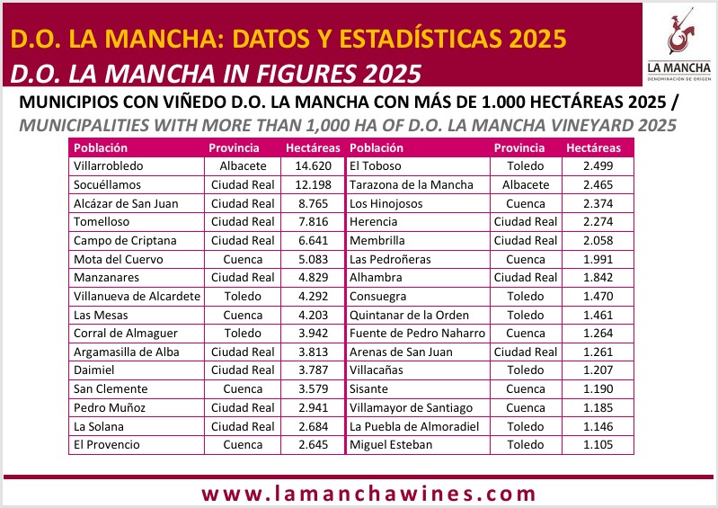 superficie viñedo do la mancha datos