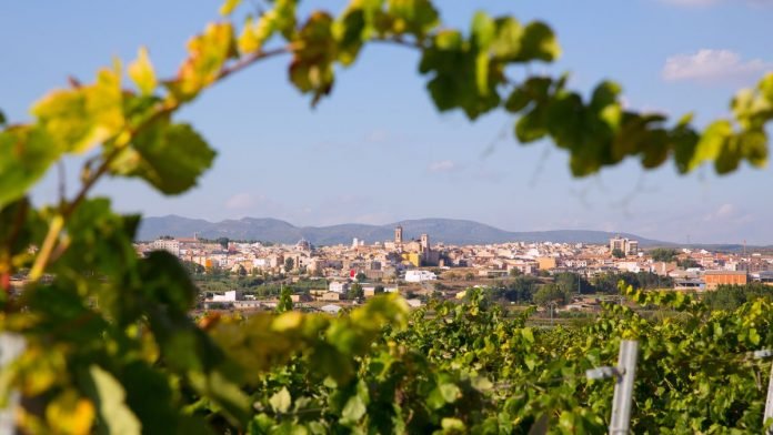 requena ciudad del vino 2026