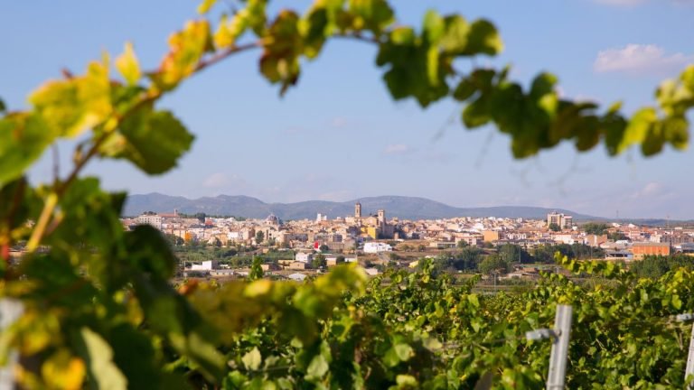requena ciudad del vino 2026