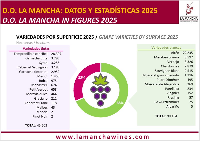 superficie viñedo do la mancha datos