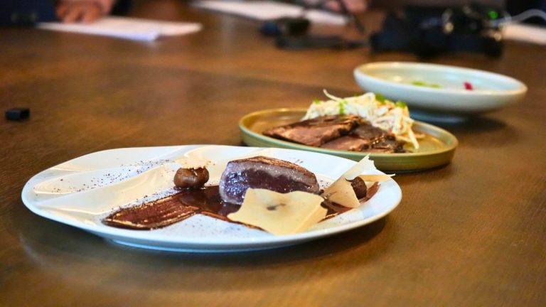 villa romana de Noheda