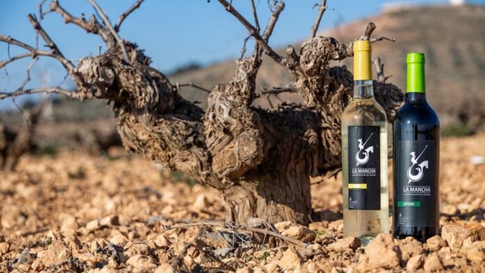 añada do la mancha 2025