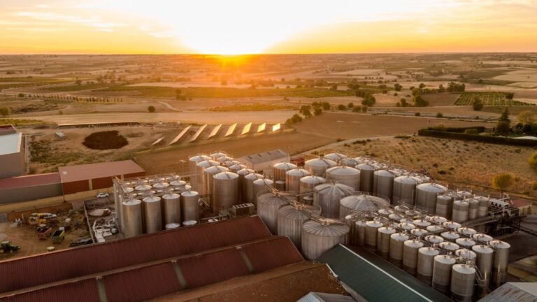 Bodega Soledad refuerza su liderazgo en la D.O. Uclés con una inversión de 1,08 M€