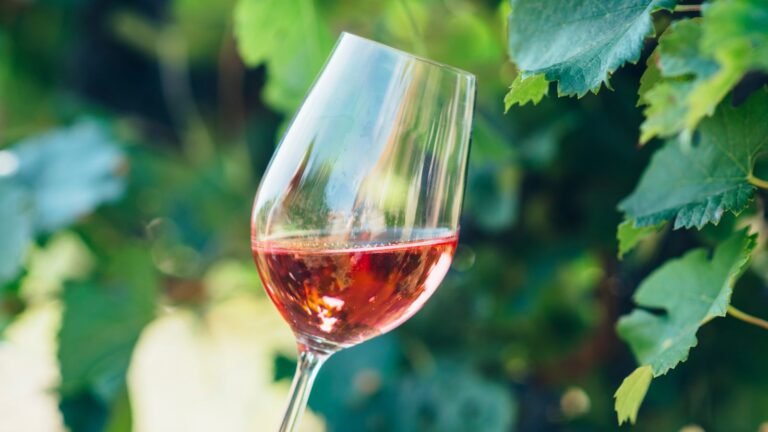 tendencia vinos nolo baja graduación